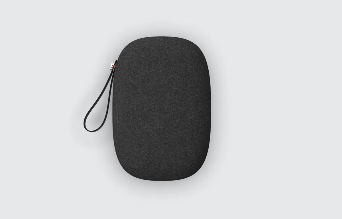 Funda de transporte PICO 4