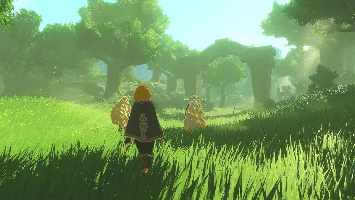 Hyrule Warriors: Edad de encarcelamiento
