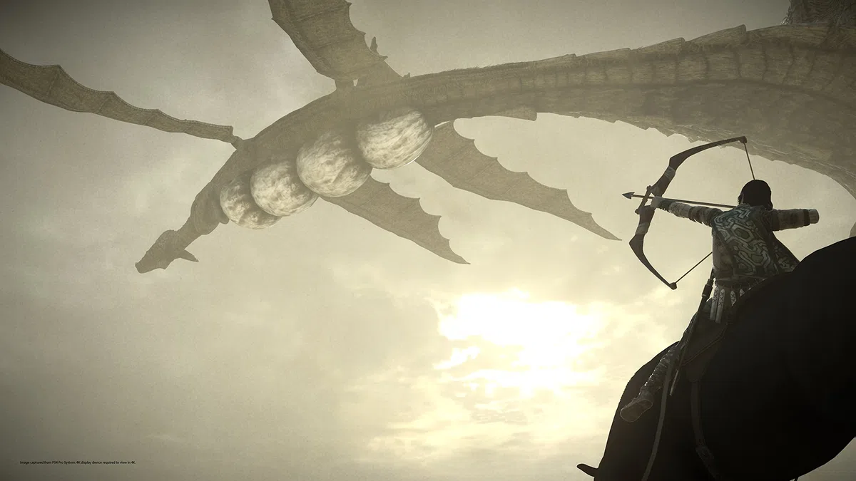 Playstation Shadow Of The Colossus (PS4)