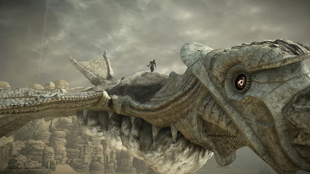 Playstation Shadow Of The Colossus (PS4)