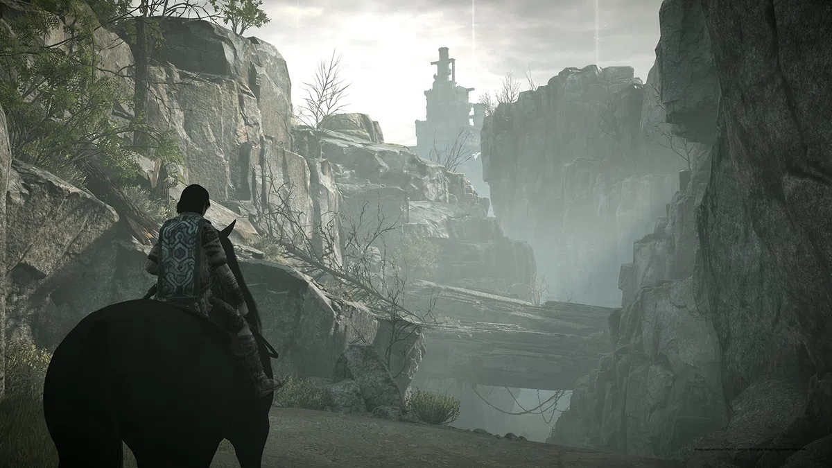 Playstation Shadow Of The Colossus (PS4)